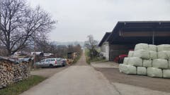 Bild: Rossella Blattmann