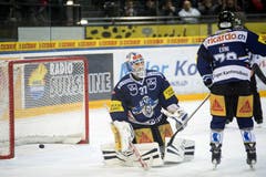Die Zürcher bezwingen den EVZ-Goalie Eero Kilpelaeinen. (Bild: Keystone)