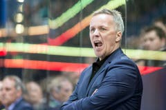 ZSC-Trainer Hans Wallson. (Bild: Alexandra Wey/Keystone)
