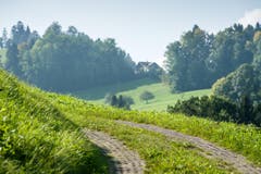 Wanderung 19.10.2017 (Bild: Anina Rütsche)