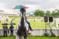Reiten - CSIO Nation Cup St. Gallen 2016 (Bild: Urs Bucher)