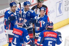Die ZSC-Spieler feiern das 1:0. (Bild: Urs Flüeler/Keystone)