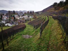 Wanderung 14.12.2017 (Bild: Arcangelo Balsamo)