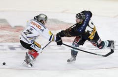 Zugs Samuel Erni (links) gegen Berns Tristan Scherwey. (Bild: Keystone)