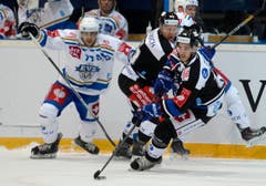 Die Zürcher Luca Cunti, rechts, und Ryan Keller, hinten, sowie der Zuger Robin Grossmann, links, im Kampf um den Puck. (Bild: Keystone)