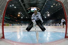 Lugano Goalie Daniel Manzato konnte sich nicht gegen die Zuger durchsetzen. (Bild: Keystone/Alexandra Wey)