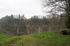 Wanderung 16.11.2017 (Bild: Simon Roth)