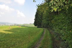 Wanderung 05.10.2017 (Bild: Gianni Amstutz)