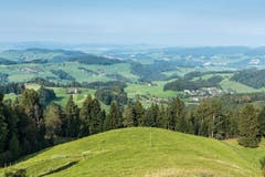 Wanderung 19.10.2017 (Bild: Anina Rütsche)
