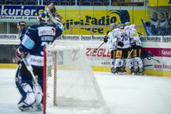 Die Zuger hatten beim Spiel gegen die Lakers Grund zum Jubel. (Bild: Keystone)