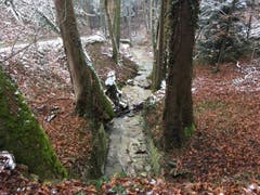 Wanderung 15.02.2018 (Bild: Laura Widmer)