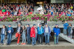Reiten - CSIO Nation Cup St. Gallen 2016 (Bild: Urs Bucher)