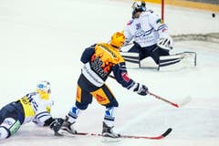 Zugs Lino Martschini, Mitte trifft zum 1:0 in die Maschen. (Bild: Alexandra Wey / Keystone)