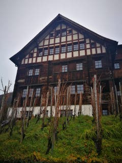 Wanderung 14.12.2017 (Bild: Arcangelo Balsamo)