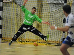 Dem Luzerner Keeper Roman Schelbert gelang ein starkes Comeback. (Bild: Urs Hanhart / UZ)