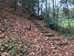 Wanderung 09.11.2017 (Bild: Laura Widmer)