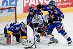 HCD-Torhüter Leonardo Genoni hält den Puck, während Fabien Heldner (zweiter von links) und Beat Forster (rechts) von Davos, versuchen, Nolan Diem von Zug zurückzuhalten. (Bild: Keystone)