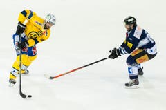 Dick Axelsson (links) vom HC Davos gegen Zugs Josh Holden. (Bild: Keystone)