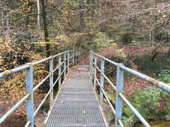 Wanderung 09.11.2017 (Bild: Laura Widmer)