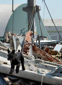 Das Erdbeben ereignete sich in der gleichen Gegend wie das Beben vom 20. Mai. (Bild: Keystone / AP)