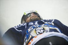 Josh Holden bleibt nach einem Check benommen liegen. (Bild: Keystone)