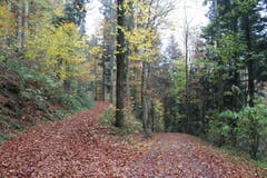 Wanderung 16.11.2017 (Bild: Simon Roth)