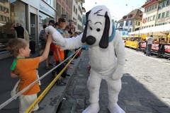 Bild: Roger Zbinden/Neue LZ