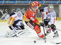 Gaetan Haas vom EHC Biel zirkelt die Scheibe um Zugs Goalie Jussi Markkanen und Yannick Blaser. (Bild: Keystone)
