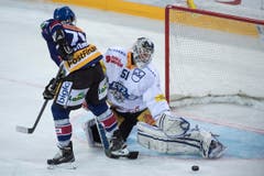 Der Bieler Daniel Steiner verpasst eine Chance gegen Zugs Goalie Tobias Stephan. (Bild: Keystone / Marcel Bieri)