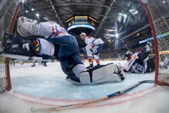 Immer wieder wehrte ZSC-Torhüter Lukas Flüeler spektakulär ab. (Bild: Urs Flüeler / Keystone)