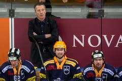 Zug-Trainer Harold Kreis (Bild: Keystone / Alexandra Wey)