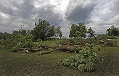 Das Unwetter vom 12. Juli verwüstete das Heitere-Gelände. Trotzdem findet das Openair statt. (Bild: Eveline Beerkicher/Neue LZ)