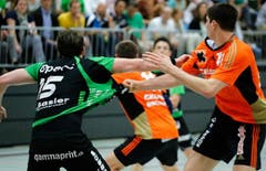 Bild: Benedikt Anderes / www.hckriens.ch