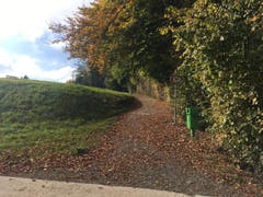Wanderung 09.11.2017 (Bild: Laura Widmer)