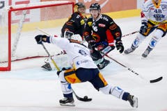 Zugs Jarkko Immonen erzielt das Tor zum 4-2 gegen Berns Torhüter Leonardo Genoni und Dario Meyer. (Bild: Keystone/PETER KLAUNZER)