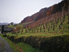 Wanderung 14.12.2017 (Bild: Arcangelo Balsamo)