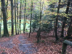 Wanderung 09.11.2017 (Bild: Laura Widmer)