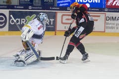 Fribourgs Julien Sprunger (rechts) vergibt eine Chnace gegen Zugs Goalie Tobias Stephan. (Bild: Keystone)