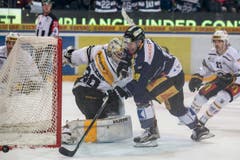 Zugs Emanuel Peter kommt nicht an Goalie Elvis Merzlikins vorbei. (Bild: Keystone / Alexandra Wey)