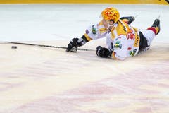 Biels Top Scorer Gaetan Haas legt eine Bauchlandung hin. (Bild: Keystone)
