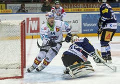 Nicklas Danielsson (links) feiert seinen Treffer gegen den EVZ. (Bild: Keystone)