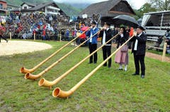 Alphorngruppe Imlig (Bild: Franz Föhn)