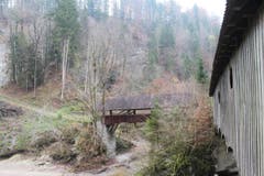 Wanderung 16.11.2017 (Bild: Simon Roth)