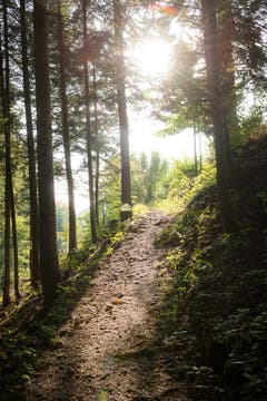 Wanderung 19.10.2017 (Bild: Anina Rütsche)