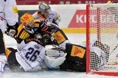 Andrew Ebbett (mitte) und die Zuger Johan Morant und Reto Suri (von rechts). (Bild: Keystone/Lukas Lehmann)