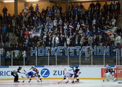Zürcher Fans feuern ihre Mannschaft an. (Bild: Keystone)