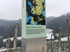 Wanderung 15.02.2018 (Bild: Laura Widmer)
