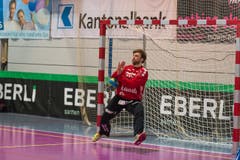 HCK-Torhüter Noah Ineichen wehrt einen Schuss ab. (Bild: Roger Grütter)