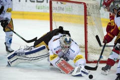 Zugs Tobias Stephan (mitte) hechtet nach einer Scheibe gegen den heranstürmenden Langnauer Kyle Wilson. (Bild: Keystone / Marcel Bieri)