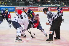 EV Zug - ERZ Ingolstadt (Bild: Dominik Wunderli / Neue LZ)